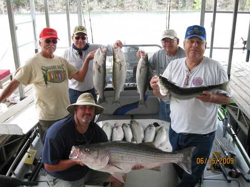 Nice Striped Bass