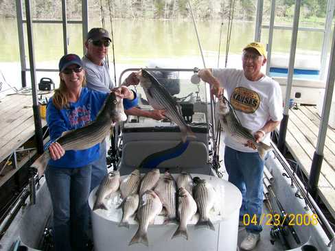 Nice Striped Bass