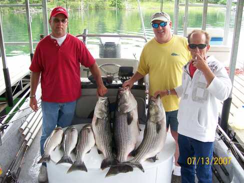 Nice Striped Bass