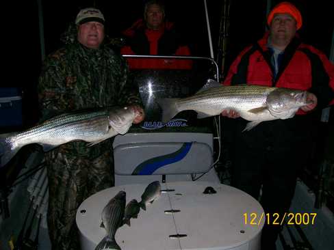 Nice Striped Bass