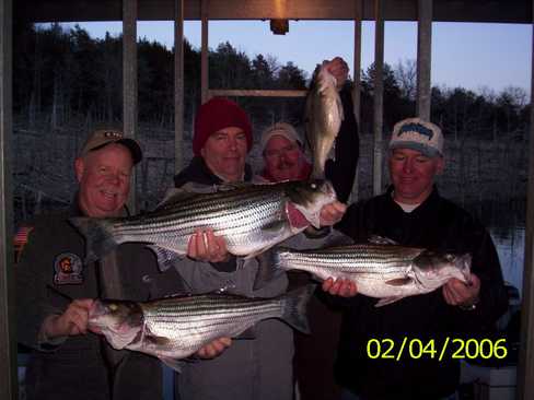 Nice Striped Bass