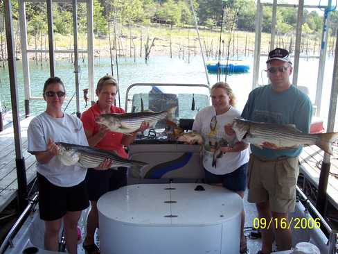 Nice Striped Bass