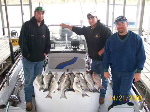 Nice Striped Bass