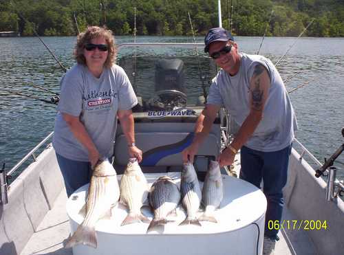 Nice Striped Bass