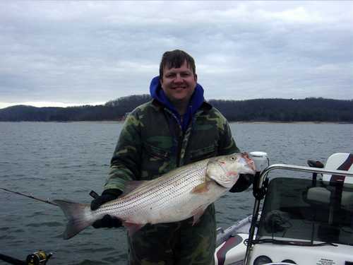 Nice Striped Bass