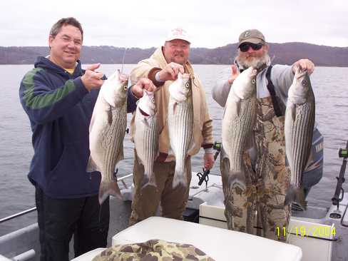 Nice Striped Bass