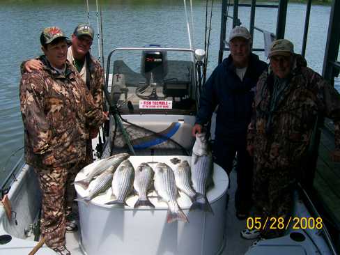 Nice Striped Bass