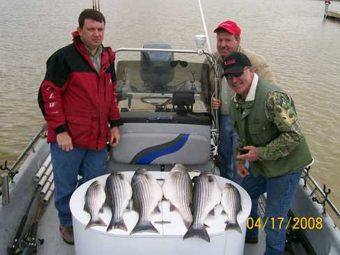 Nice Striped Bass