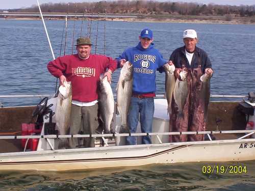 Nice Striped Bass