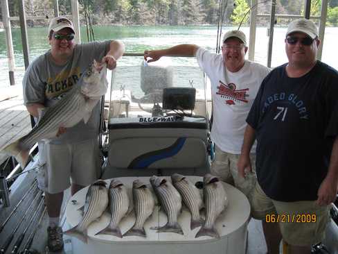 Nice Striped Bass