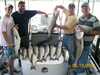 (06/19/2008) - Nice Striped Bass