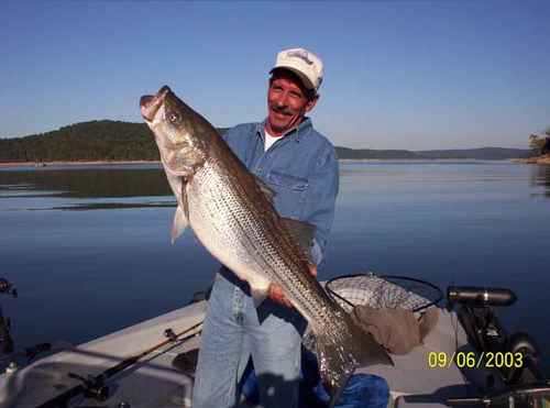 Now that is a Hog Striper