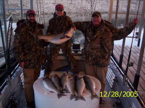 Nice Striped Bass