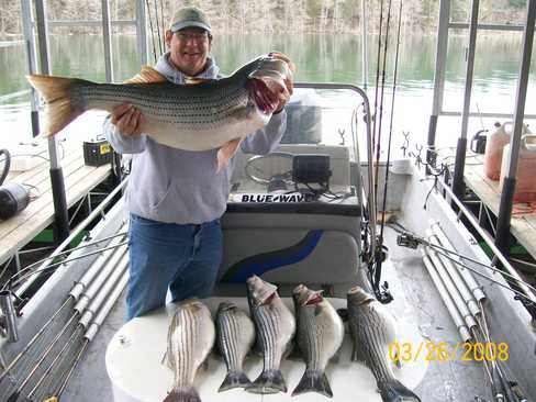 Nice Striped Bass