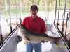 (04/24/2004) - Now that is a Hog Striper