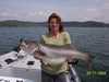 (05/11/2004) - Nice Striped Bass