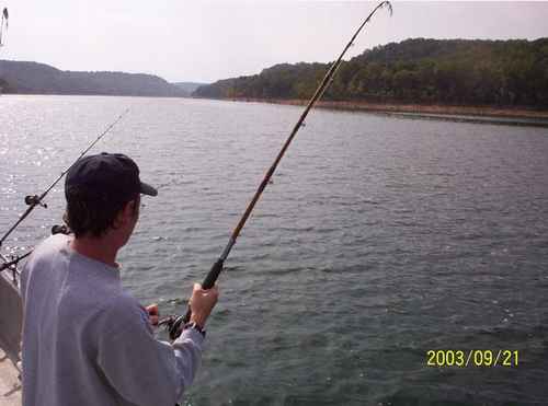 Nice Striped Bass