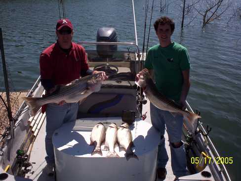 Nice Striped Bass