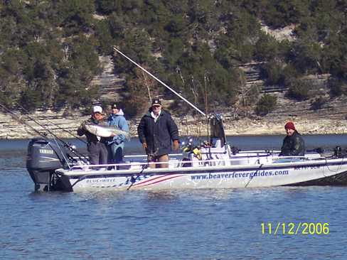 Nice Striped Bass