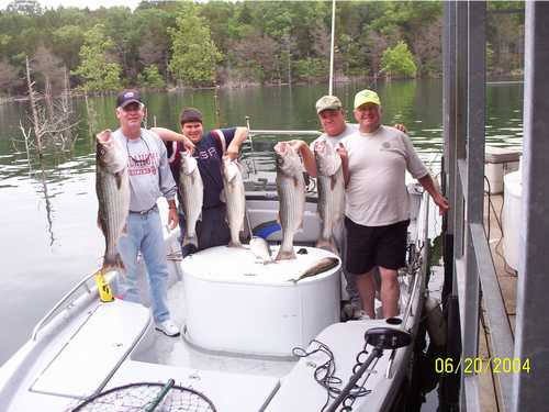 Nice Striped Bass