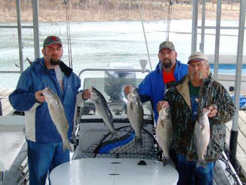 Nice Striped Bass