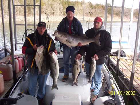 Nice Striped Bass