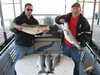 (04/10/2010) - Nice Striped Bass