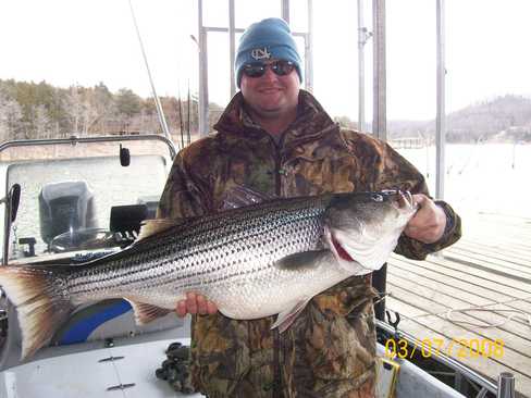Nice Striped Bass