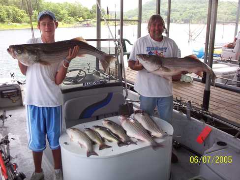 Nice Striped Bass