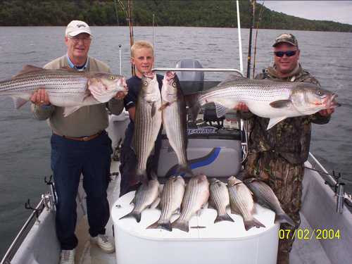 Nice Striped Bass