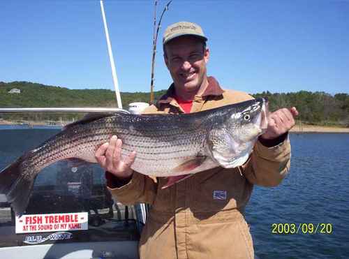 Nice Striped Bass