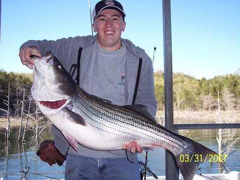 Nice Striped Bass