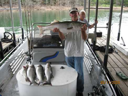 Nice Striped Bass