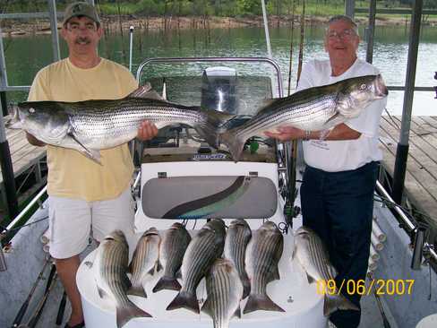 Nice Striped Bass