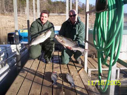 Nice Striped Bass