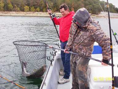 Nice Striped Bass