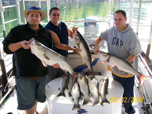 Nice Striped Bass