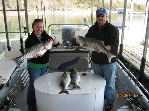 Nice Striped Bass