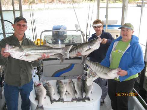 Nice Striped Bass