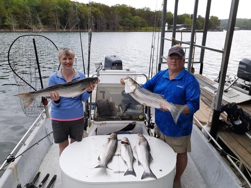 Nice Striped Bass