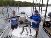 (06/29/2020) - Nice Striped Bass