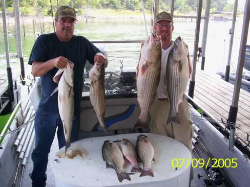 Nice Striped Bass