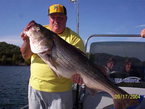 Now that is a Hog Striper