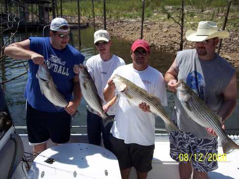 Nice Striped Bass