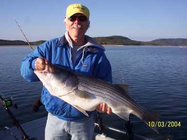 Nice Striped Bass