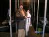 (11/15/2008) - Nice Striped Bass