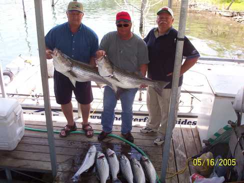 Nice Striped Bass