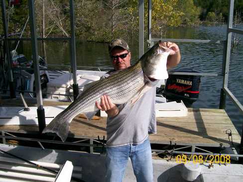 Nice Striped Bass