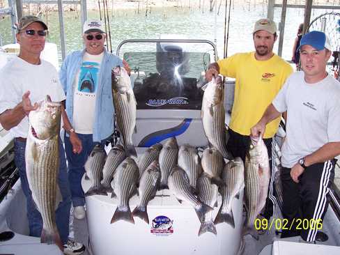 Nice Striped Bass