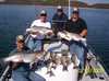 (10/18/2005) - Nice Striped Bass